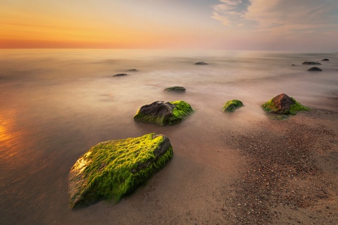 Kliknij na zdjęcie, żeby zobaczyć w pełnych wymiarach