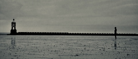 Kliknij na zdjęcie, żeby zobaczyć w pełnych wymiarach