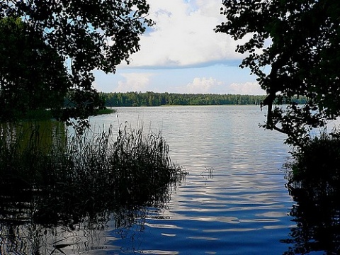 Kliknij na zdjęcie, żeby zobaczyć w pełnych wymiarach