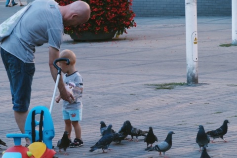 Kliknij na zdjęcie, żeby zobaczyć w pełnych wymiarach