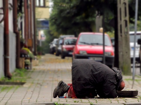Kliknij na zdjęcie, żeby zobaczyć w pełnych wymiarach