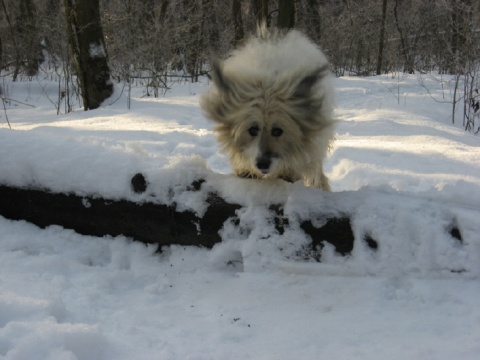 Kliknij na zdjęcie, żeby zobaczyć w pełnych wymiarach