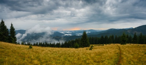 Kliknij na zdjęcie, żeby zobaczyć w pełnych wymiarach