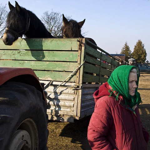 Kliknij na zdjęcie, żeby zobaczyć w pełnych wymiarach