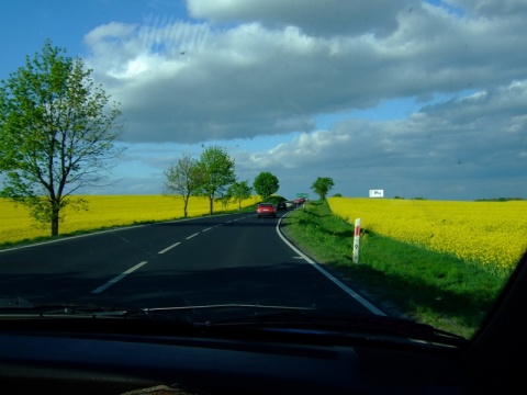 Kliknij na zdjęcie, żeby zobaczyć w pełnych wymiarach