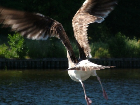Kliknij na zdjęcie, żeby zobaczyć w pełnych wymiarach
