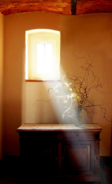 Kliknij na zdjęcie, żeby zobaczyć w pełnych wymiarach