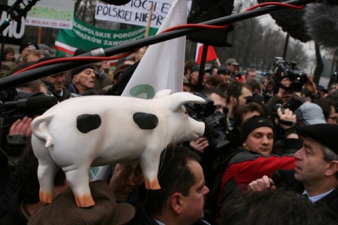 Kliknij na zdjęcie, żeby zobaczyć w pełnych wymiarach