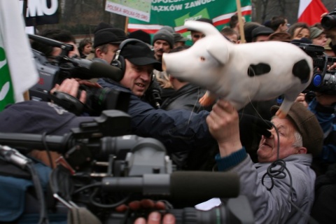 Kliknij na zdjęcie, żeby zobaczyć w pełnych wymiarach