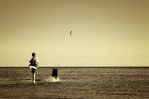 Kliknij na zdjęcie, żeby zobaczyć w pełnych wymiarach