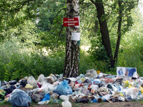 Kliknij na zdjęcie, żeby zobaczyć w pełnych wymiarach