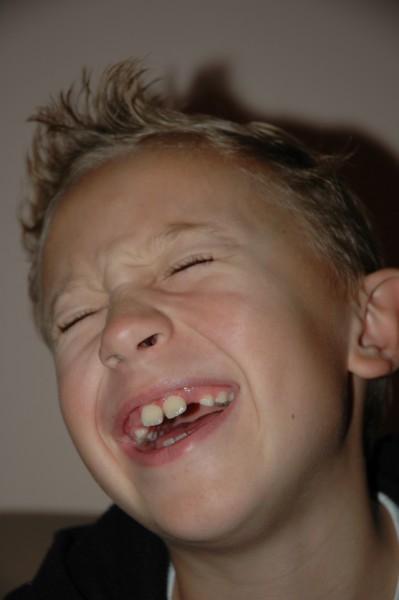 Kliknij na zdjęcie, żeby zobaczyć w pełnych wymiarach