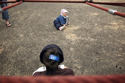 Kliknij na zdjęcie, żeby zobaczyć w pełnych wymiarach