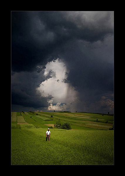Kliknij na zdjęcie, żeby zobaczyć w pełnych wymiarach