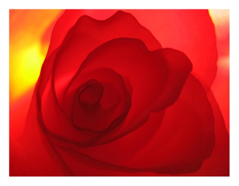 Kliknij na zdjęcie, żeby zobaczyć w pełnych wymiarach