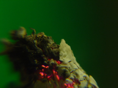 Kliknij na zdjęcie, żeby zobaczyć w pełnych wymiarach