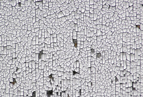 Kliknij na zdjęcie, żeby zobaczyć w pełnych wymiarach