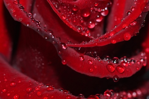 Kliknij na zdjęcie, żeby zobaczyć w pełnych wymiarach