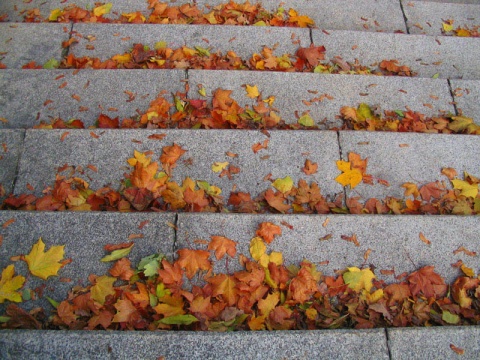 Kliknij na zdjęcie, żeby zobaczyć w pełnych wymiarach