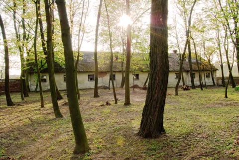 Kliknij na zdjęcie, żeby zobaczyć w pełnych wymiarach