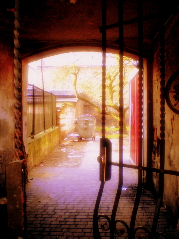 Kliknij na zdjęcie, żeby zobaczyć w pełnych wymiarach