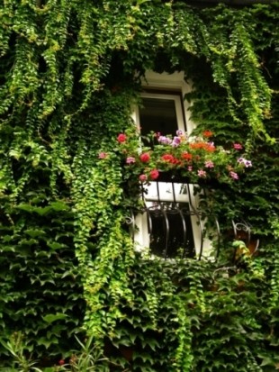 Kliknij na zdjęcie, żeby zobaczyć w pełnych wymiarach