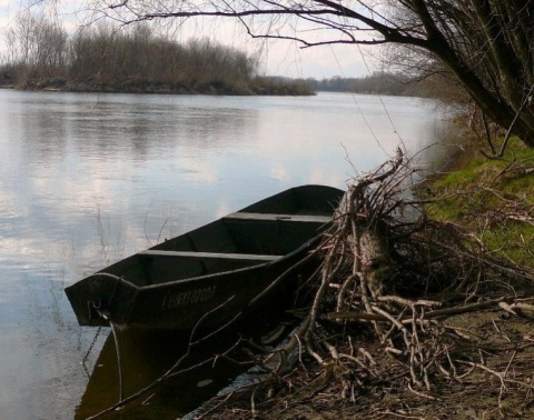 Kliknij na zdjęcie, żeby zobaczyć w pełnych wymiarach