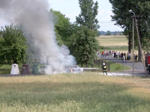 Kliknij na zdjęcie, żeby zobaczyć w pełnych wymiarach