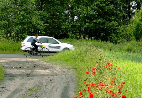 Kliknij na zdjęcie, żeby zobaczyć w pełnych wymiarach