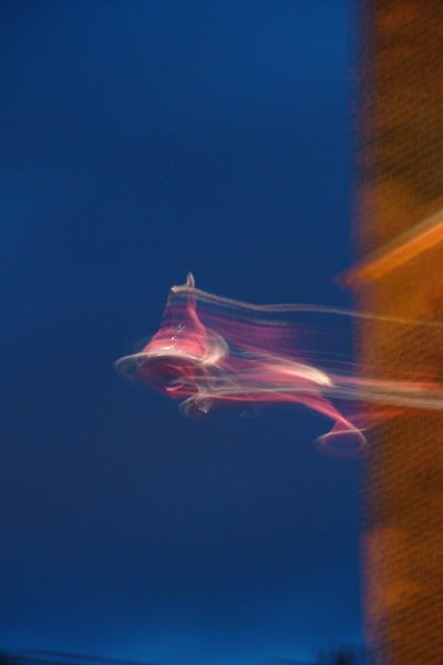 Kliknij na zdjęcie, żeby zobaczyć w pełnych wymiarach