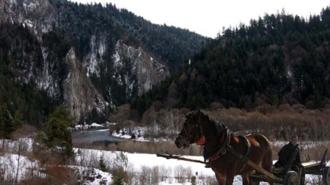 Kliknij na zdjęcie, żeby zobaczyć w pełnych wymiarach