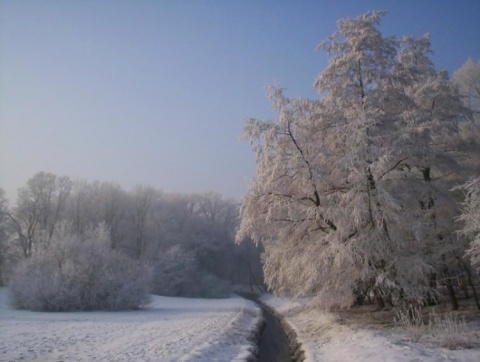 Kliknij na zdjęcie, żeby zobaczyć w pełnych wymiarach