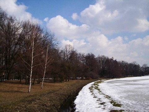 Kliknij na zdjęcie, żeby zobaczyć w pełnych wymiarach