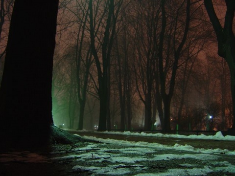 Kliknij na zdjęcie, żeby zobaczyć w pełnych wymiarach