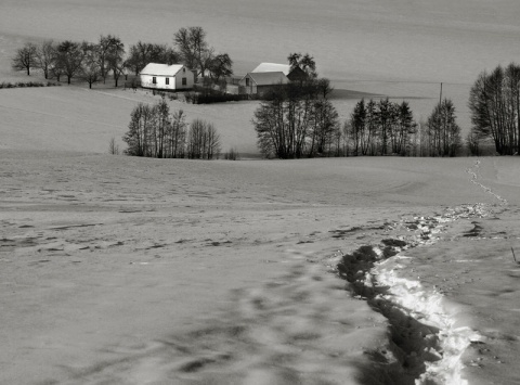 Kliknij na zdjęcie, żeby zobaczyć w pełnych wymiarach
