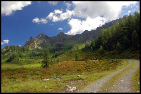 Kliknij na zdjęcie, żeby zobaczyć w pełnych wymiarach