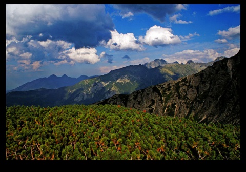 Kliknij na zdjęcie, żeby zobaczyć w pełnych wymiarach