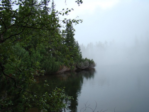 Kliknij na zdjęcie, żeby zobaczyć w pełnych wymiarach