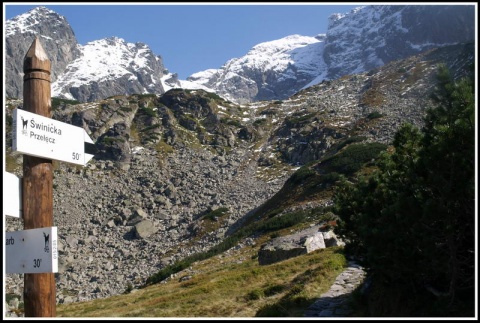 Kliknij na zdjęcie, żeby zobaczyć w pełnych wymiarach