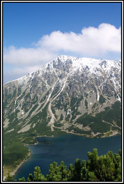 Kliknij na zdjęcie, żeby zobaczyć w pełnych wymiarach