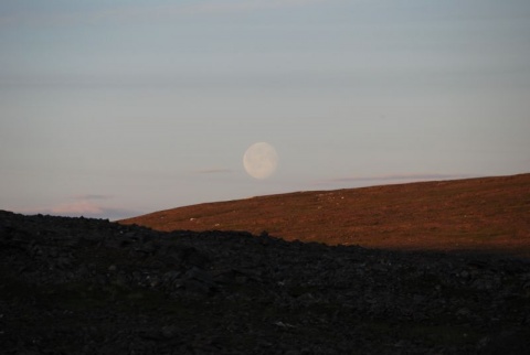 Kliknij na zdjęcie, żeby zobaczyć w pełnych wymiarach