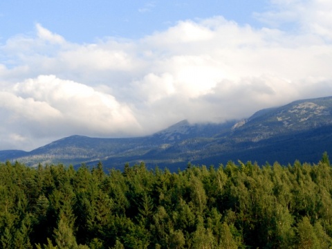 Kliknij na zdjęcie, żeby zobaczyć w pełnych wymiarach