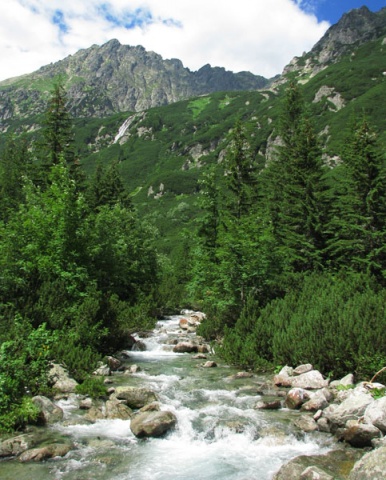 Kliknij na zdjęcie, żeby zobaczyć w pełnych wymiarach