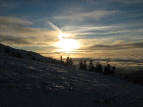 Kliknij na zdjęcie, żeby zobaczyć w pełnych wymiarach
