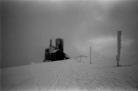 Kliknij na zdjęcie, żeby zobaczyć w pełnych wymiarach