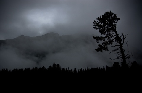 Kliknij na zdjęcie, żeby zobaczyć w pełnych wymiarach