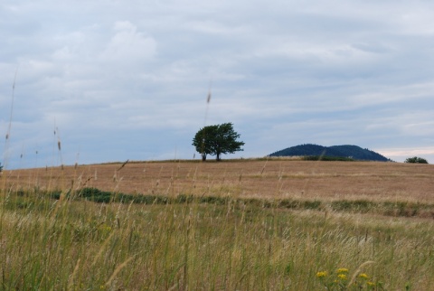 Kliknij na zdjęcie, żeby zobaczyć w pełnych wymiarach