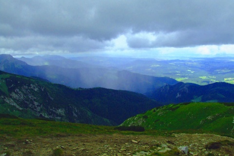 Kliknij na zdjęcie, żeby zobaczyć w pełnych wymiarach