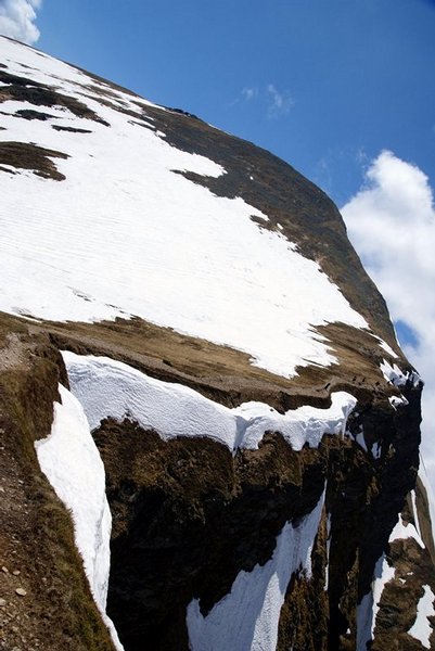 Kliknij na zdjęcie, żeby zobaczyć w pełnych wymiarach