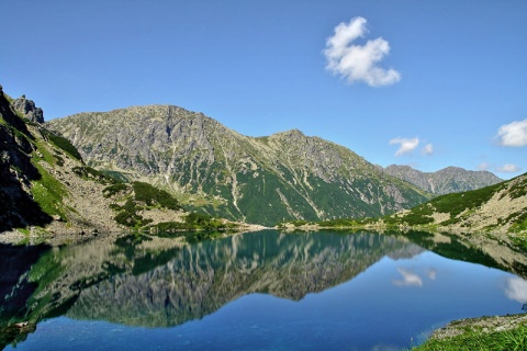 Kliknij na zdjęcie, żeby zobaczyć w pełnych wymiarach